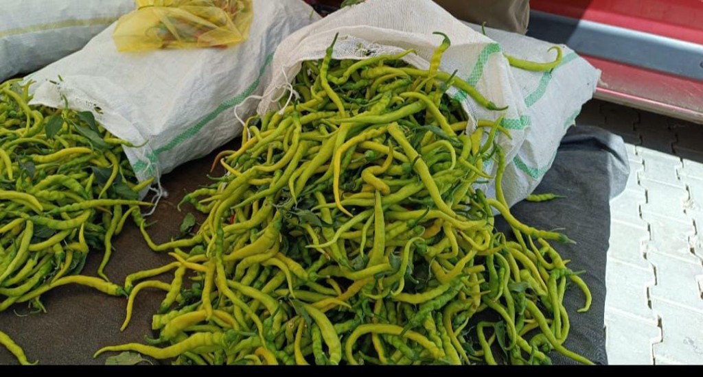 Mazıdağı Biberleri Batman Pazarlarında Kapış Kapış Gidiyor