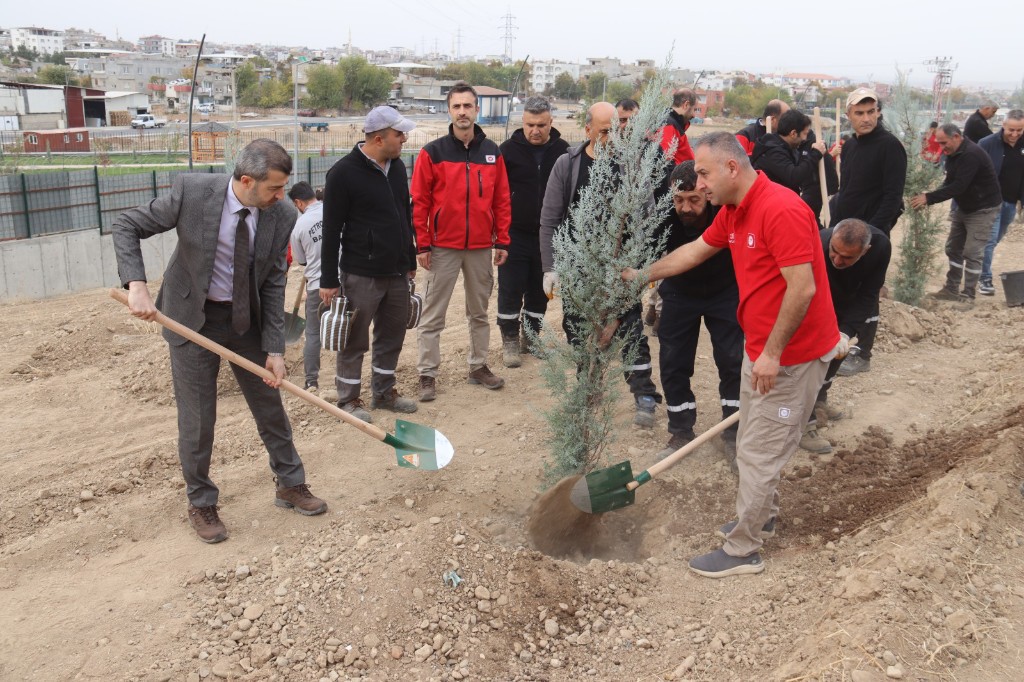 TPAO’dan Yeşil Vatan’a 500 Fidanlık Destek