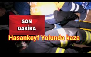 Hasankeyf Yolunda Korkutan Kaza