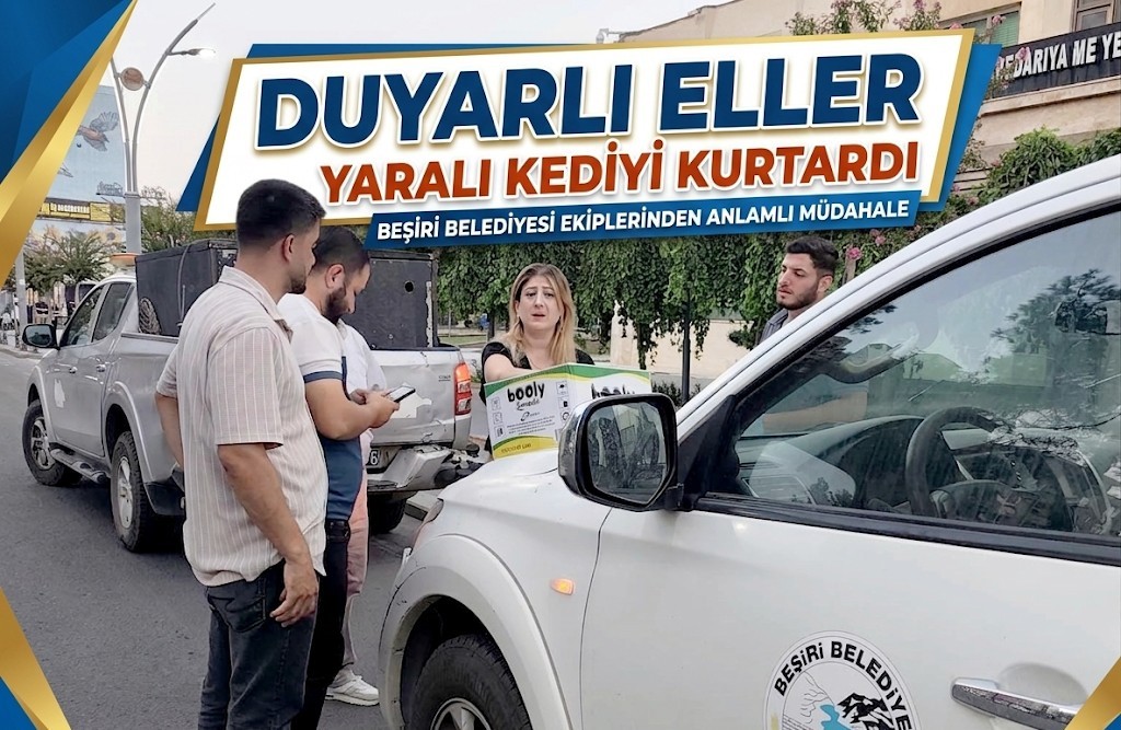 Yavru Kedi İçin Seferber Olundu