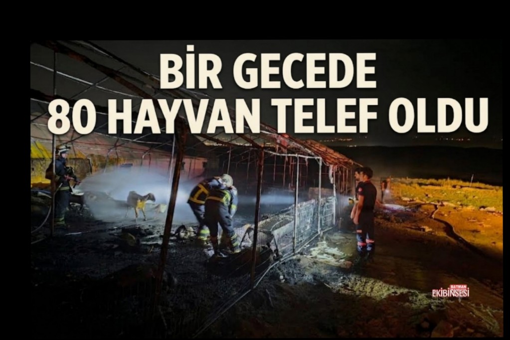 Batman’da Ahır Yangını: 80 Küçükbaş Hayvan Telef Oldu